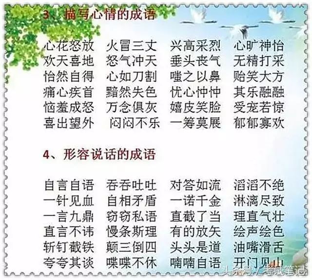 揭秘精准一肖，探寻数字背后的神秘含义与词语释义之旅