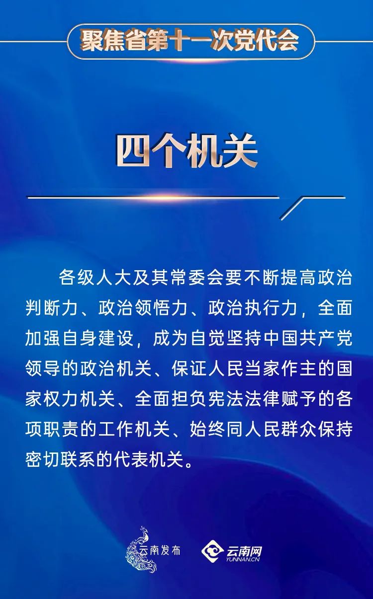 揭秘新澳三期必出一肖，词语背后的释义与解读