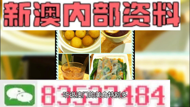 新澳门特免费资料大全与管家婆，深度解析与词语释义