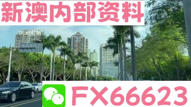 新澳最精准免费资料大全298期详解与关键词释义