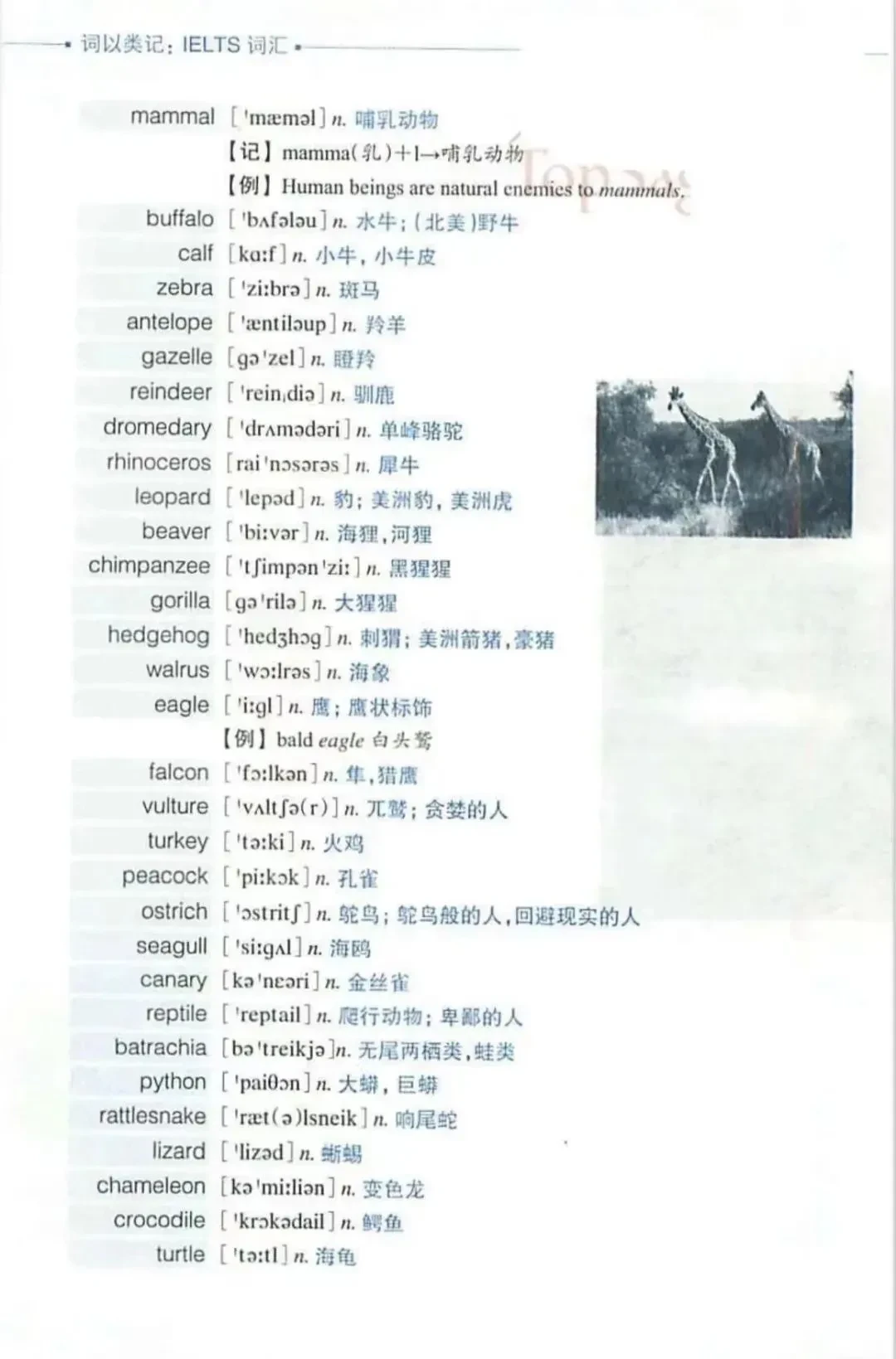 新澳2025最新资料24码详解与词语释义