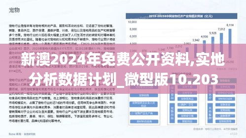 揭秘2024新澳最准最快资料，关键词详解